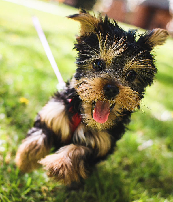 Simaki Housing Cooperative Society